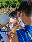 LEUNG Fran (second left) exploration gently put crab in his palm for observing wild nature